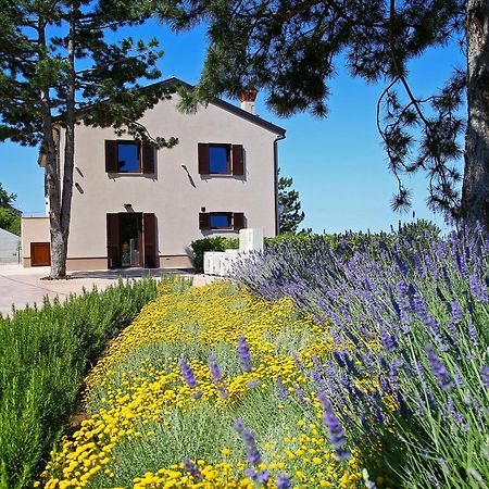 Luxury Villa Gradin Gračišče Dış mekan fotoğraf