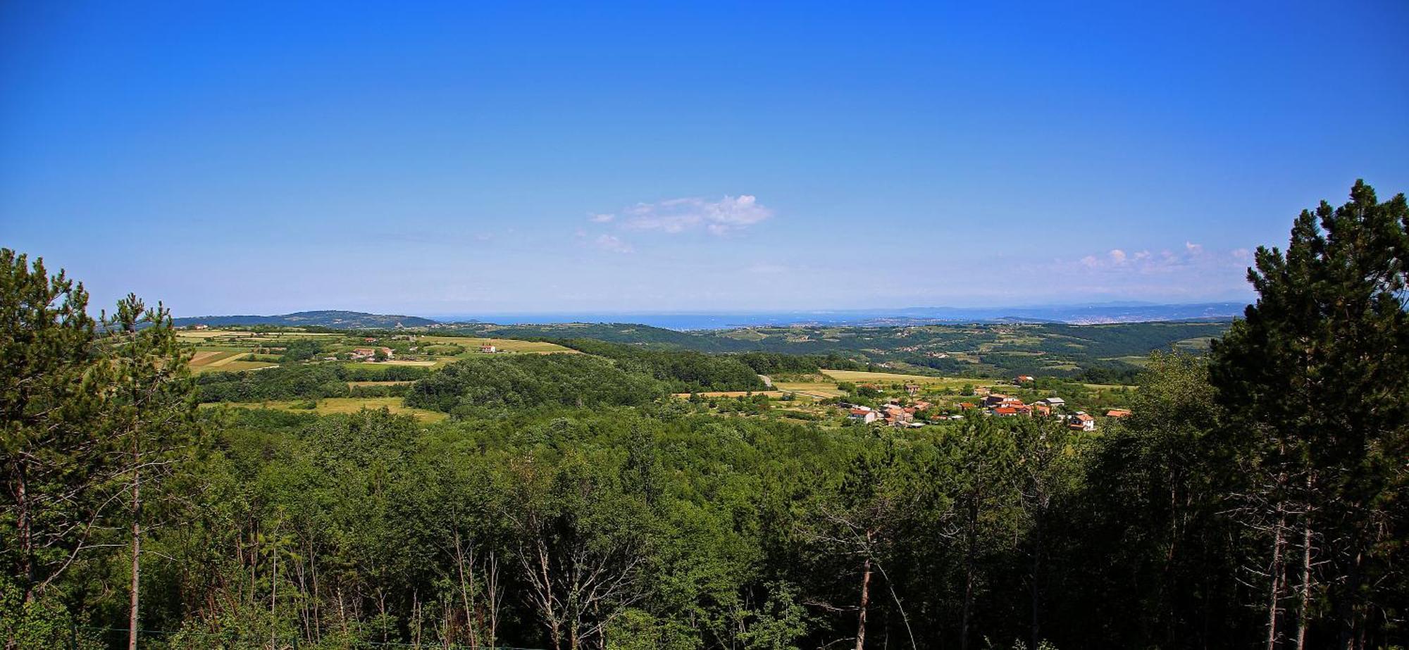 Luxury Villa Gradin Gračišče Dış mekan fotoğraf